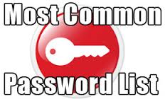 Most Common Password List